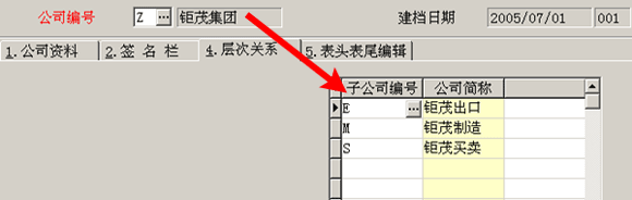 总公司与子公司层次关系设定